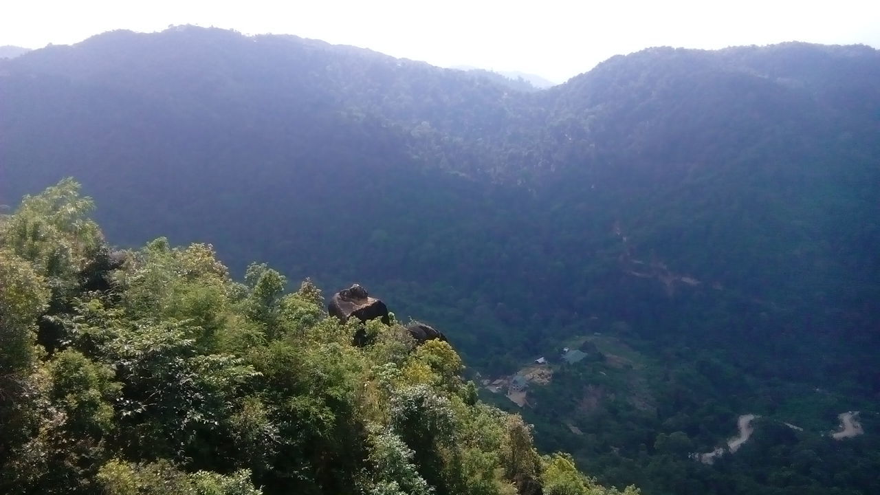 mountain, tranquility, tranquil scene, scenics, tree, mountain range, beauty in nature, landscape, nature, green color, non-urban scene, valley, idyllic, lush foliage, clear sky, high angle view, remote, sky, growth, hill