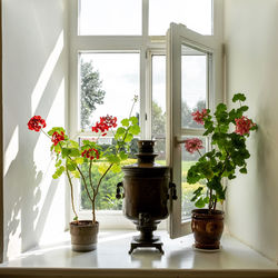 Samovar and flowers on a window