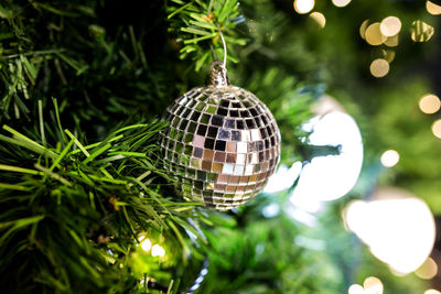 Close-up of christmas decoration hanging on tree