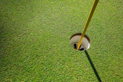 High angle view of golf ball on field