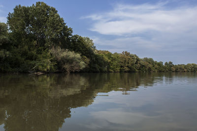 Pristine riverbank, trees, and their reflection. tisza river in hungary, europe, tokaj wine region. 