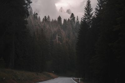 Road amidst trees in forest against sky