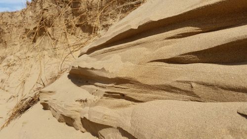 Scenic view of desert