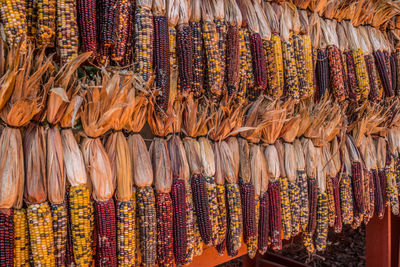 Full frame shot of multi colored sale at market stall