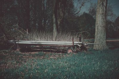 Empty bench on field by trees in forest