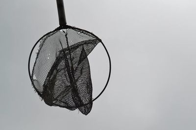 Close-up of over white background