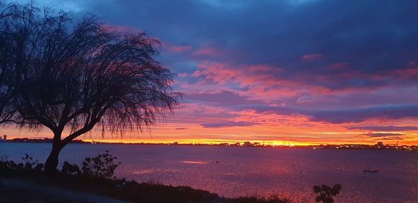 Silhouette trees by sea against sky during sunset