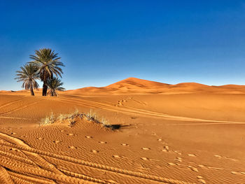 Sand dunes in desert against clear blue sky