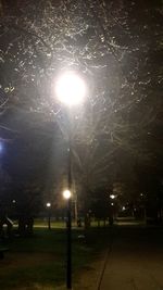 Illuminated trees against sky at night