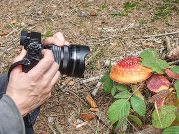 Woman hand taking a picture to mushrooms with camera and big lens