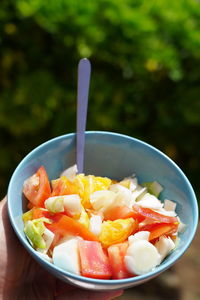 Close-up of fruit salad in bowl