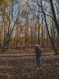 Full length rear view of man walking in forest