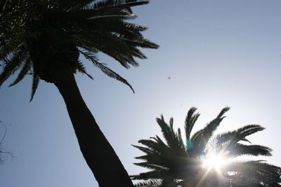 Low angle view of silhouette palm tree against clear sky