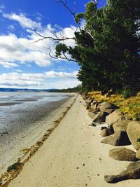 Scenic view of beach against cloudy sky