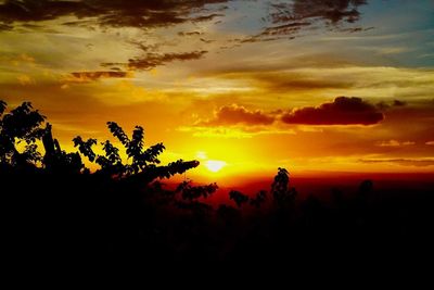 Silhouette trees against dramatic sky during sunset