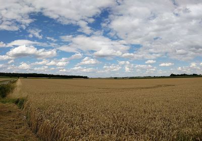 Scenic view of field against sky