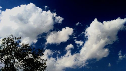 Low angle view of trees against blue sky