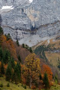 Scenic view of landscape during autumn