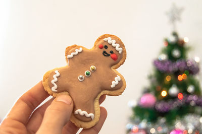 Close-up of human hand holding christmas tree