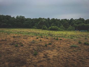 Scenic view of field against sky