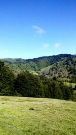 Scenic view of field against clear sky