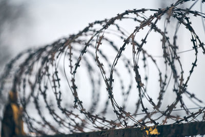 Barbed wire on fence of restricted area. no unauthorized entry. old fence of military border