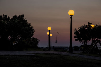 Street light and trees against sky at night