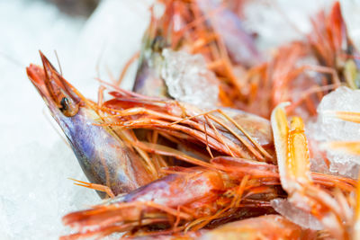 Close-up of fish for sale in market