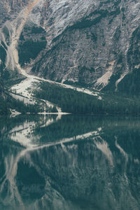 Reflection of trees in lake