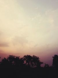 Low angle view of trees against sky