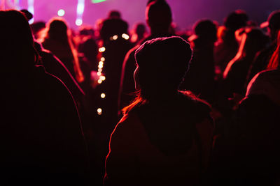 Rear view of people enjoying at music concert