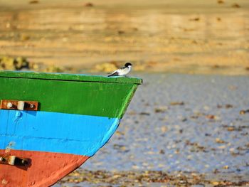 Bird perching on a boat