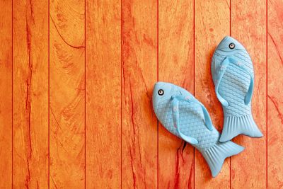 Directly above shot of flip-flops on hardwood floor