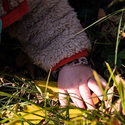 Low section of woman on grass