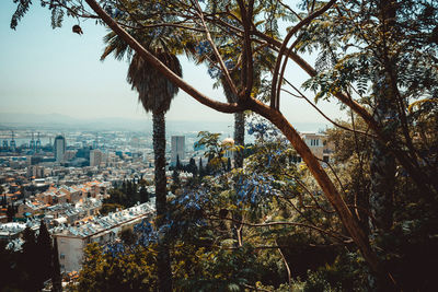 High angle view of trees and buildings against sky