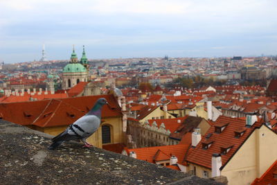 High angle shot of townscape