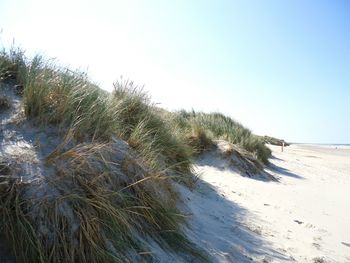 Scenic view of beach against clear sky