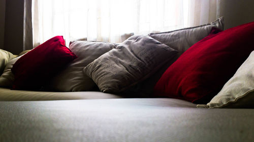 Cat relaxing on bed