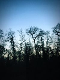 Low angle view of silhouette trees against sky