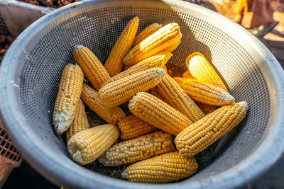 Close-up of corn