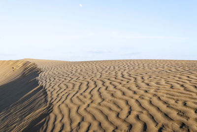 Sand dunes in desert against sky