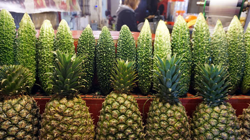 Pineapple and bitter melon fruits vegetable for chinese smoothie healthy drinks