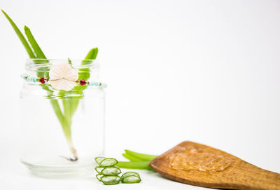 Close-up of food served on table against white background