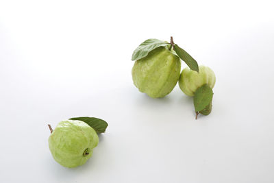 High angle view of green fruits on white background