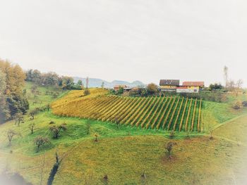 Scenic view of agricultural field against sky