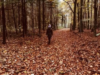 Rear view of woman walking in forest during autumn