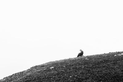 Low angle view of man on rock against sky