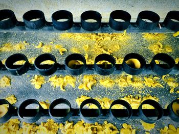 Close-up of metal grate