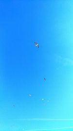 Low angle view of birds flying in clear blue sky