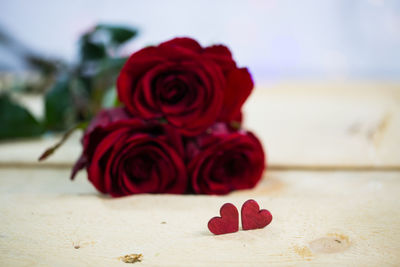 Close-up of red rose on table